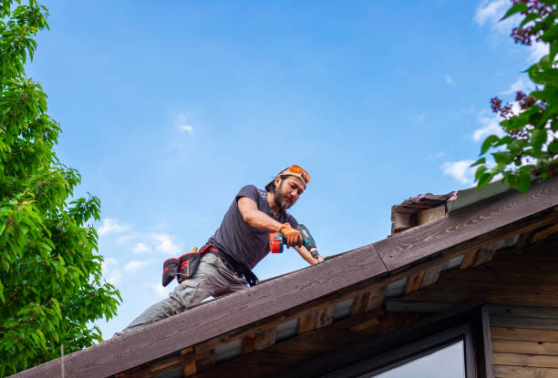 Best Roof Coating and Sealing  in Hansville, WA