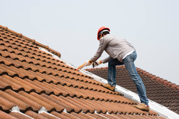 Best Wood Shake Roofing  in Hansville, WA