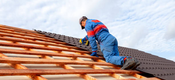 Best Asphalt Shingle Roofing  in Hansville, WA