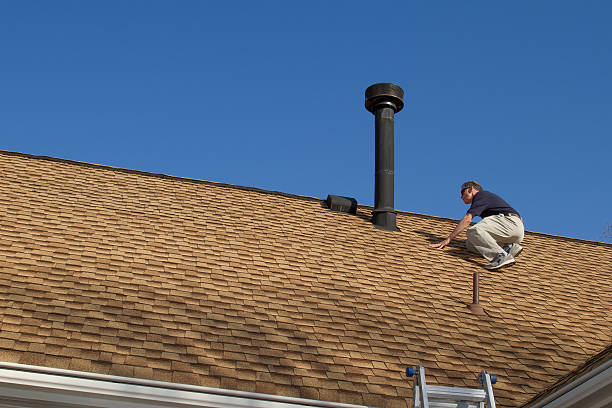Best Roof Moss and Algae Removal  in Hansville, WA